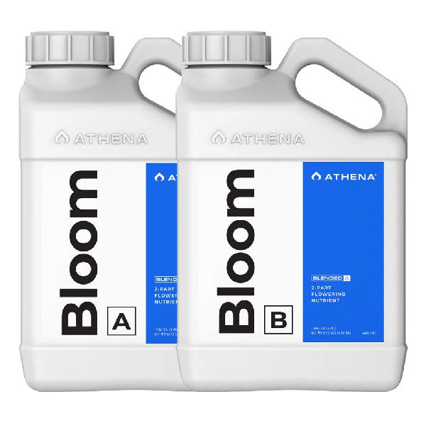 Athena Blended Line Bloom A+B