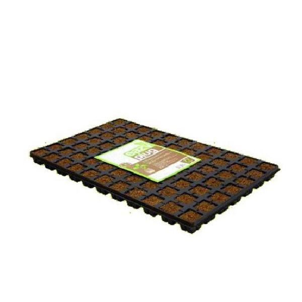 Eazy Plug Vassoio di Germinazione 77 Plug