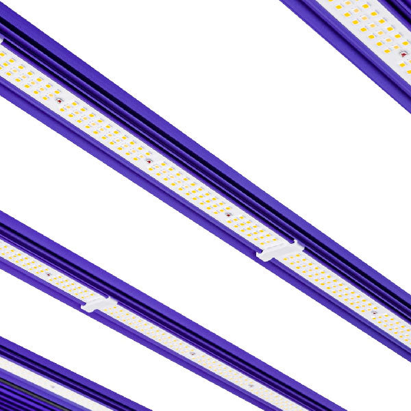 Lumatek Led Zeus 1000w Pro Evo 3.1