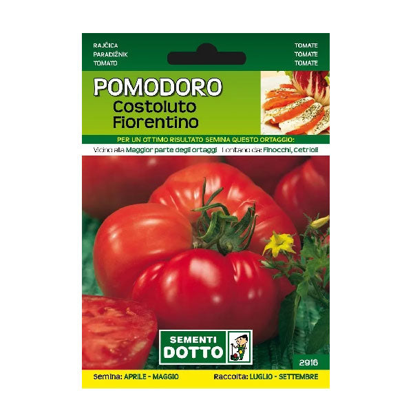 Sementi Dotto Pomodoro Costoluto Fiorentino
