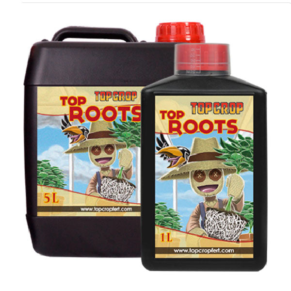 Top Crop Top Roots