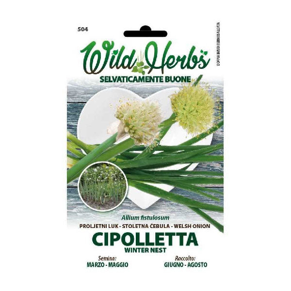Wild Herbs Cipolletta