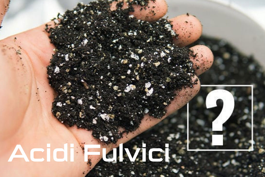 Acidi Fulvici