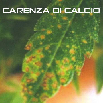 Carenza di Calcio