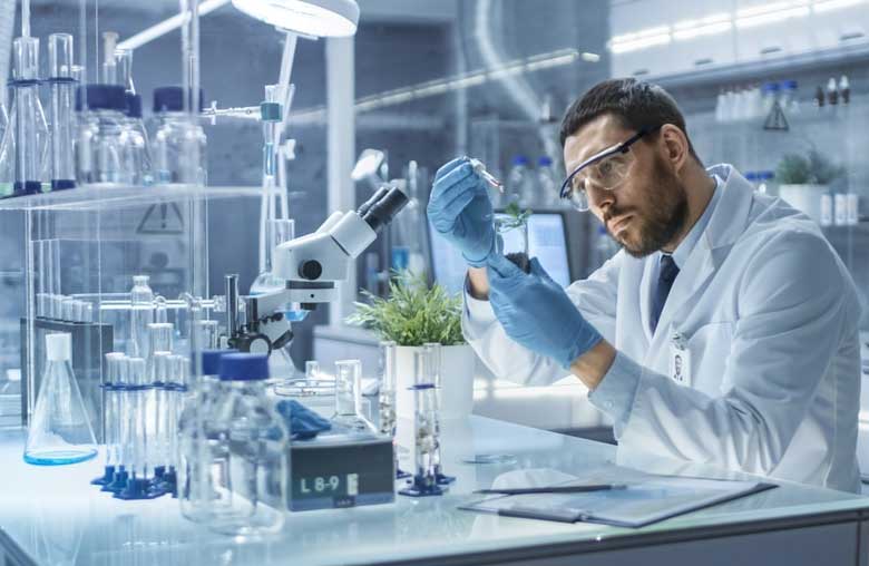 Come Miscelare i Concimi nell'Irrigazione delle Piante