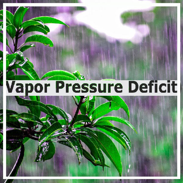 Cos'è il VPD Vapour-pressure Deficit