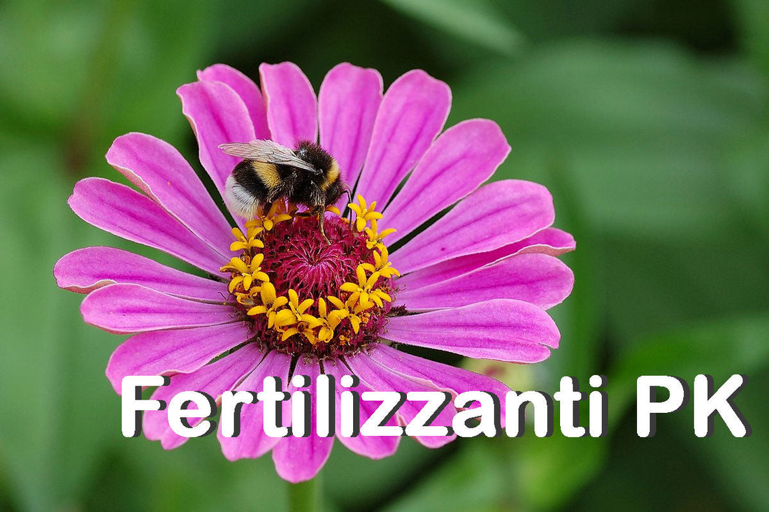 Fertilizzanti PK