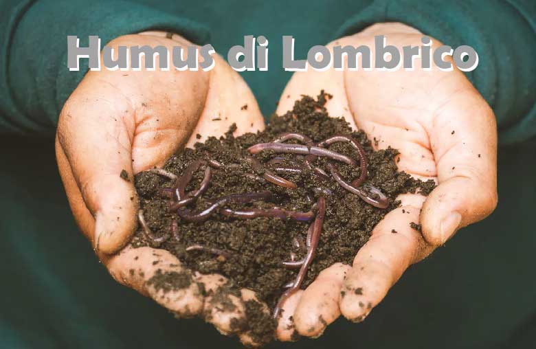 Humus di Lombrico: Fertilizzante Naturale per Coltivazione Indoor e Outdoor