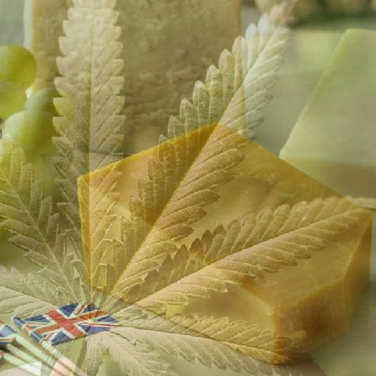 UK Cheese - Storia di uno Strain Esemplare