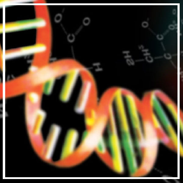 Fertilizzanti Booster e Stimolatori