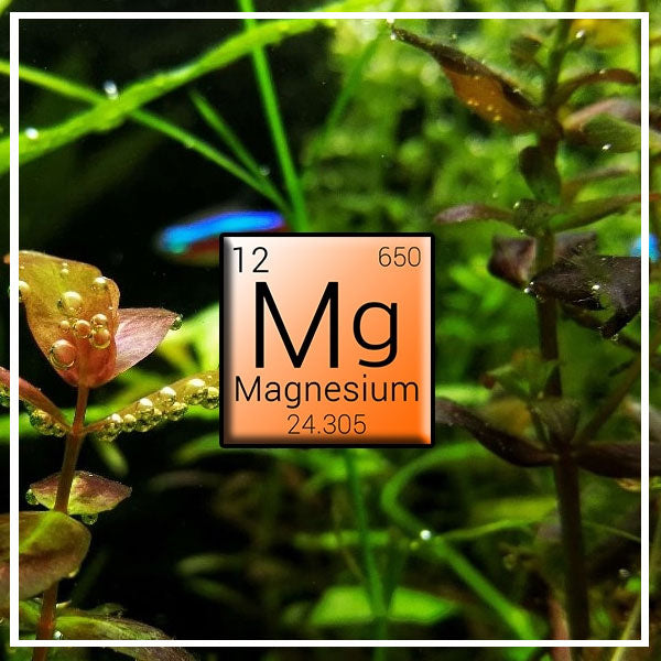 Fertilizzante a Base di Calcio e Magnesio