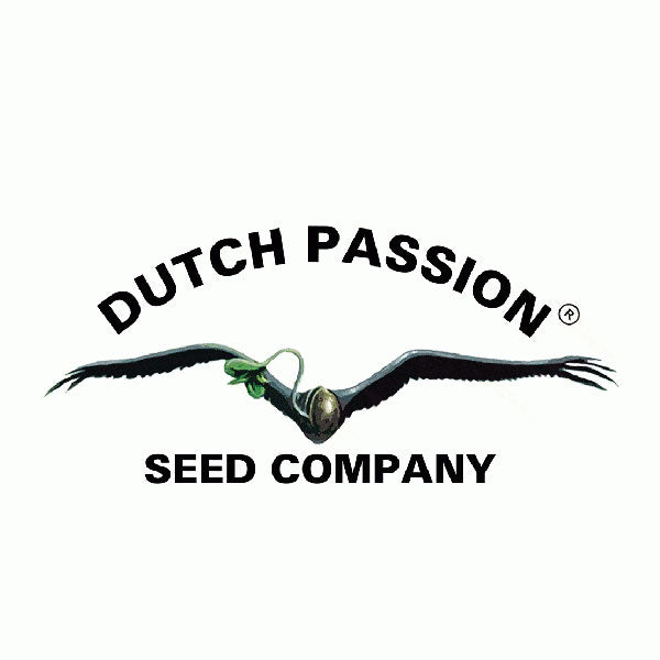 Dutch Passion