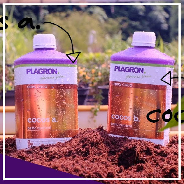 Fertilizzanti per la Coltivazione in Cocco