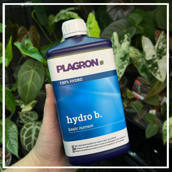 Fertilizzanti per la Coltivazione in Idroponica