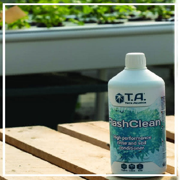 Fertilizzanti Soluzione di Risciacquo Radicale