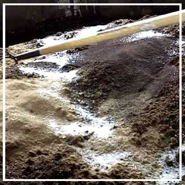 Fertilizzanti per la Coltivazione SuperSoil