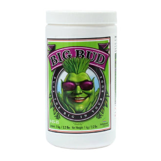 Advanced Nutrients Big Bud Powder