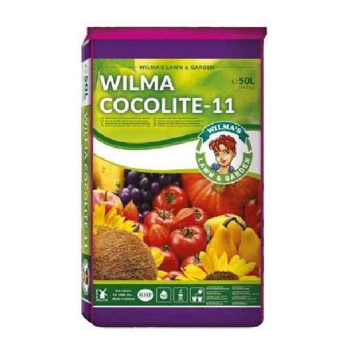 Atami Wilma Cocolite 11