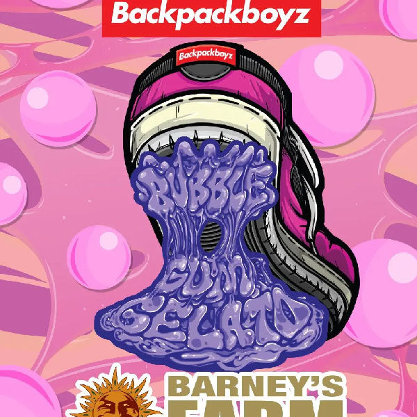 Barney's Farm Bubblegum Gelato