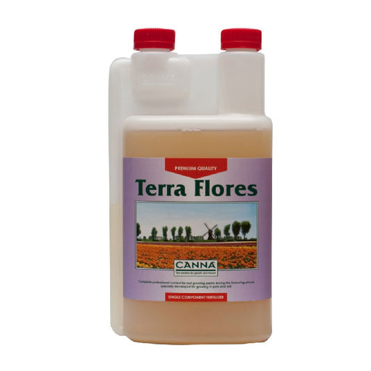Canna Terra Flores