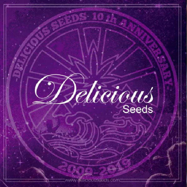 Delicious Seeds Unknow Kush x Critical Mass Regolare