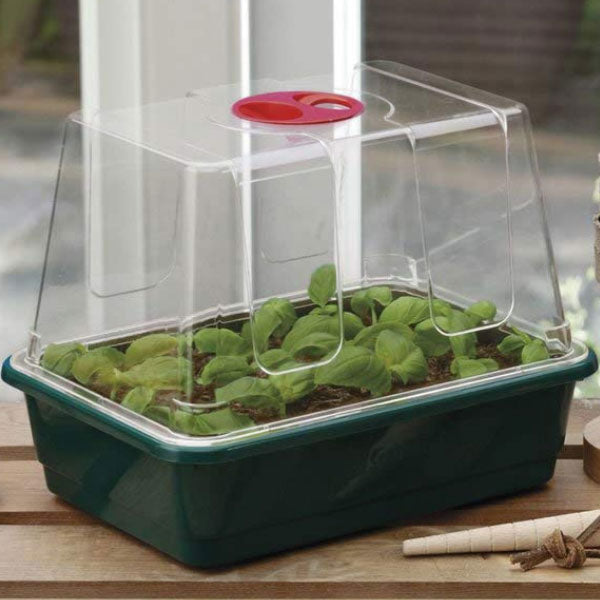 Garland Mini Serra Rigida Ventilata G20 27x17x18 cm – Propagatore per Germinazione e Taleaggio Professionale