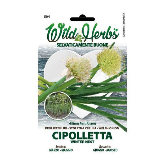 Wild Herbs Cipolletta