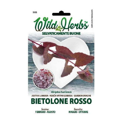 Wild Herbs Semi di Bietolone Rosso