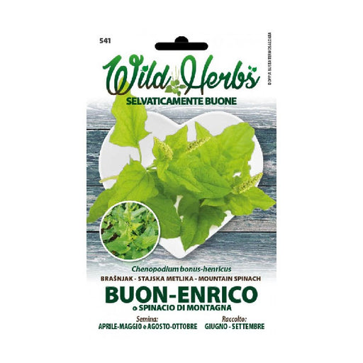 Wild Herbs Semi di Buon Enrico