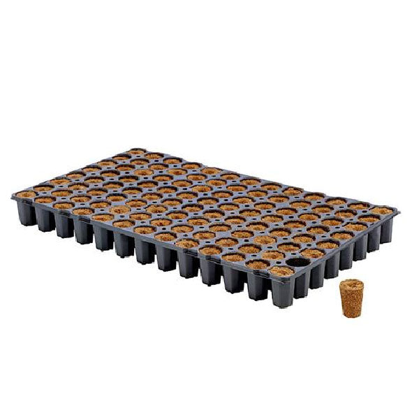 Eazy Plug Vassoio di Germinazione CT104C Plug